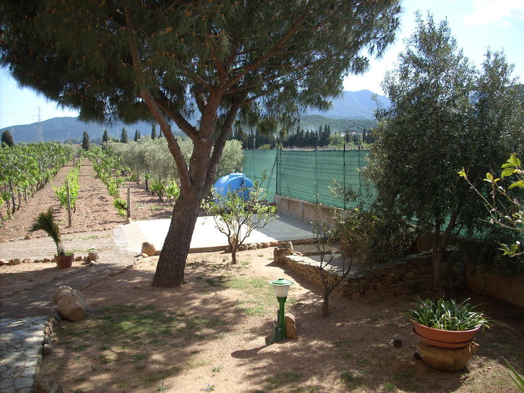 B&B Il Vigneto Capoterra Kültér fotó